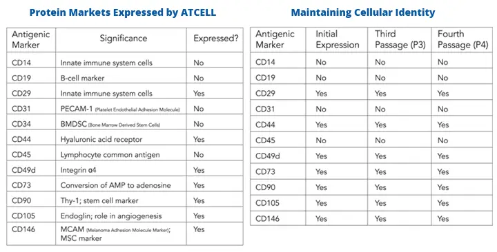 atcell-science